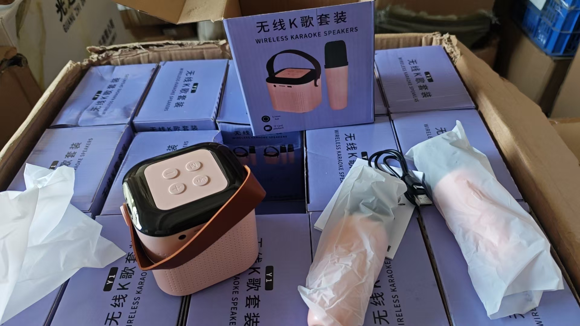 Karaoke Speaker Set