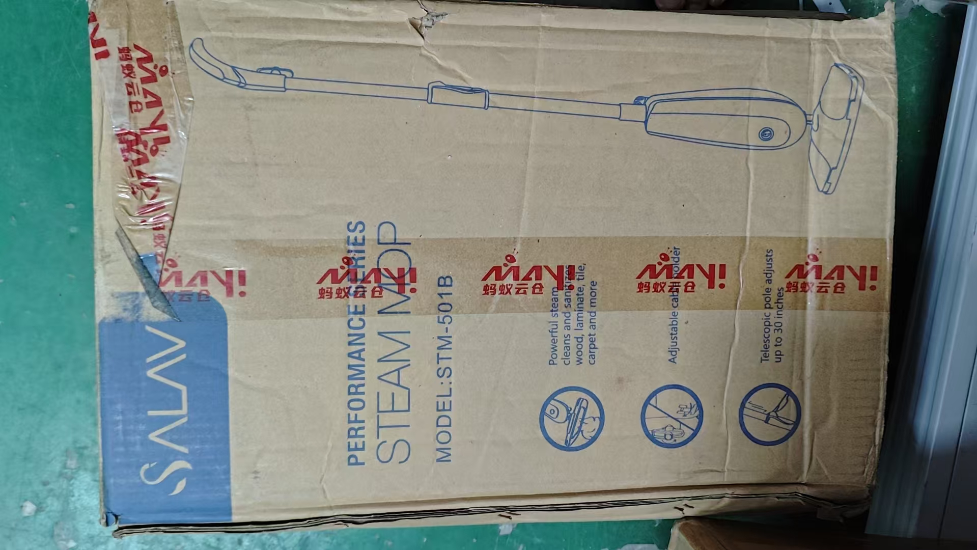 Steam Mop