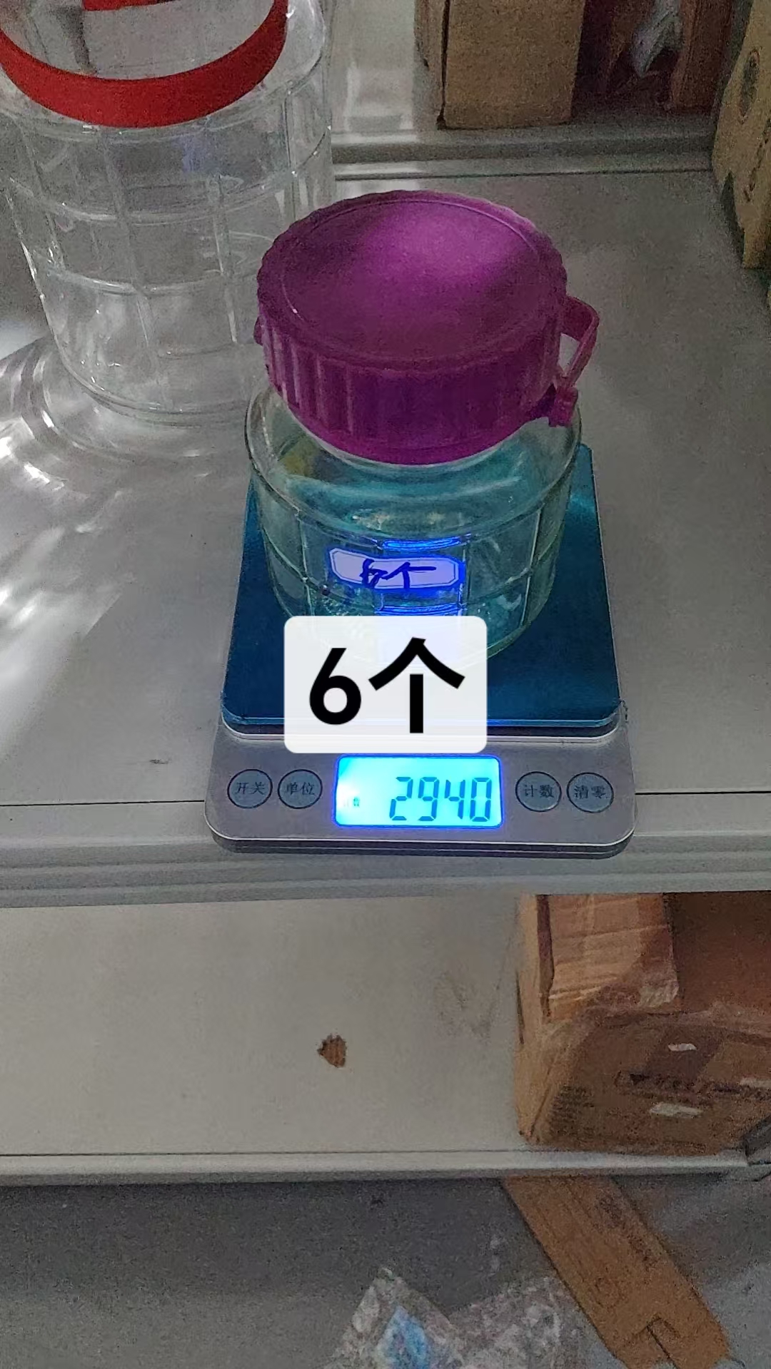 Glass Fermentation Jar