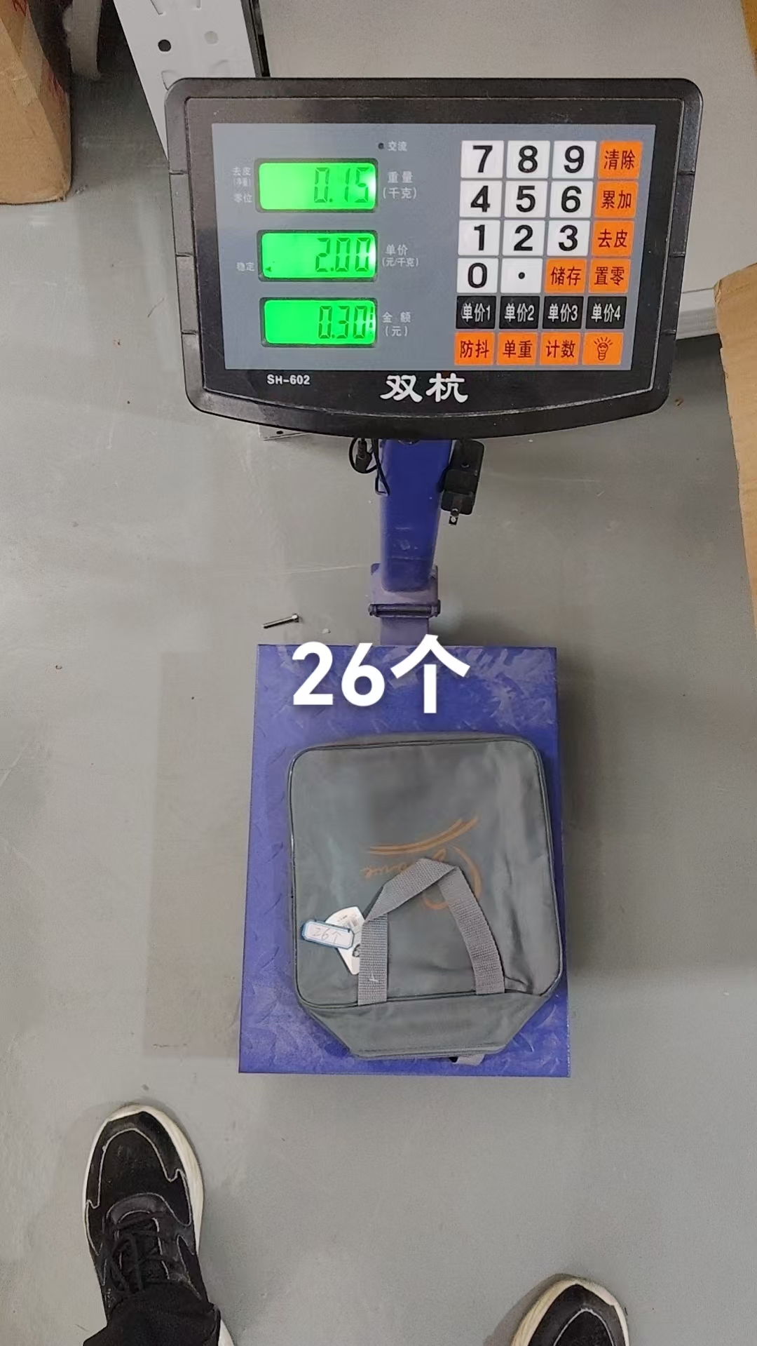 Insulated Lunch Bag