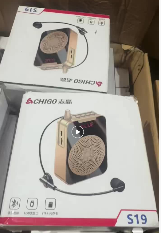 Voice Amplifier