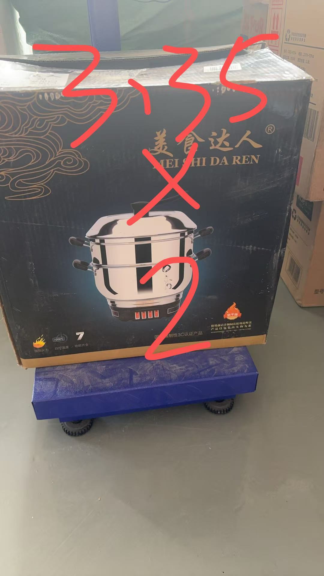 Electric Steamer