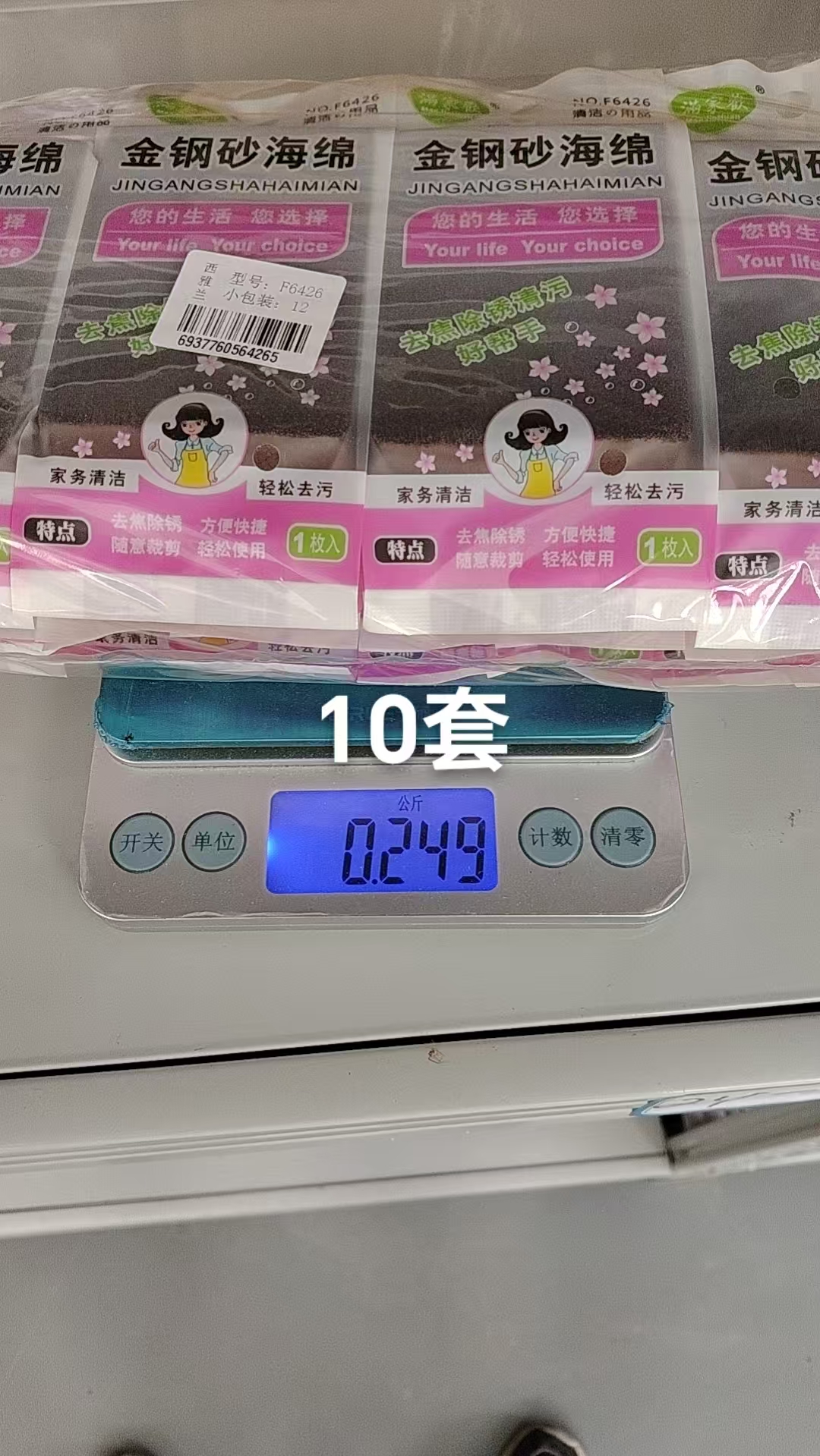 Diamond Sponge Scourer