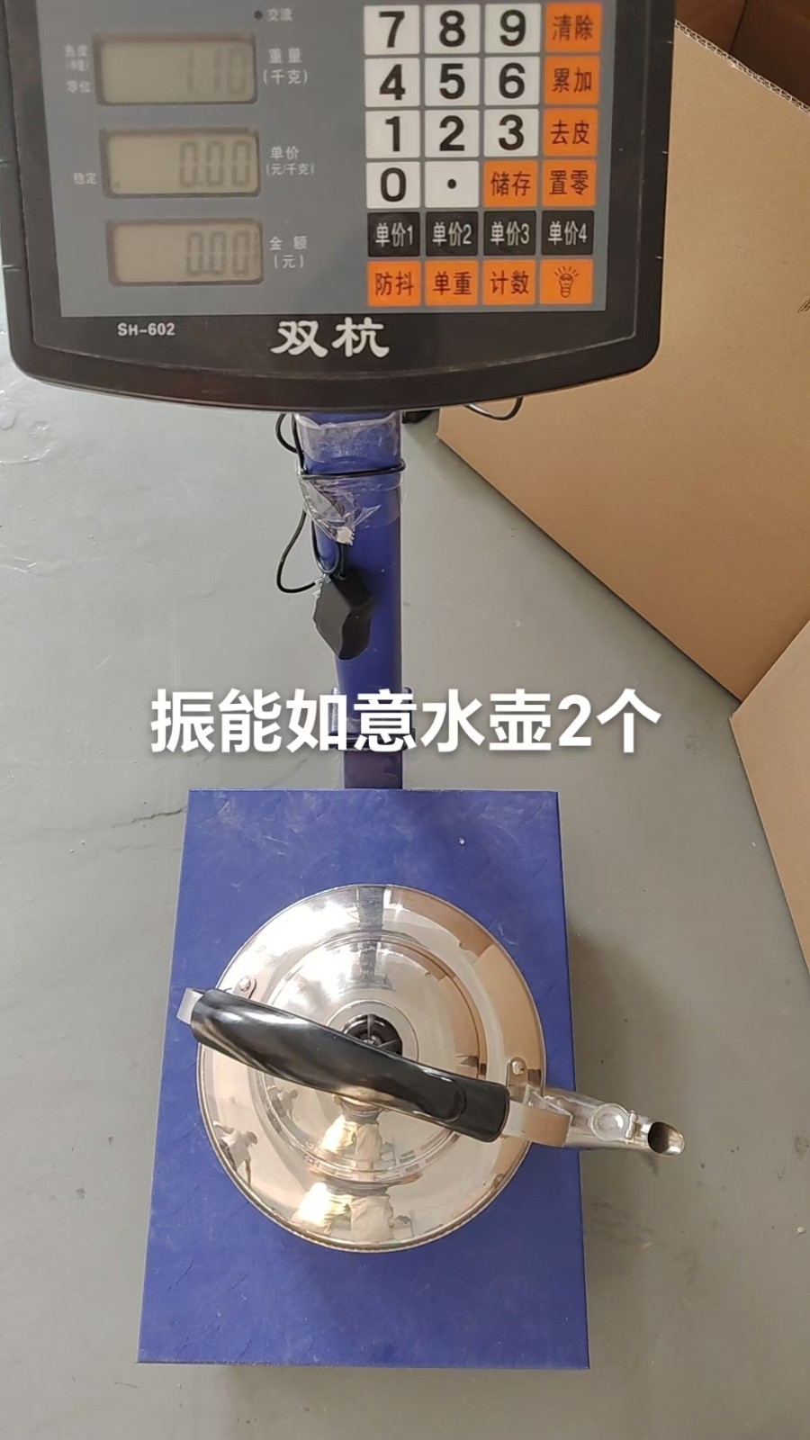 Stainless Steel Kettle