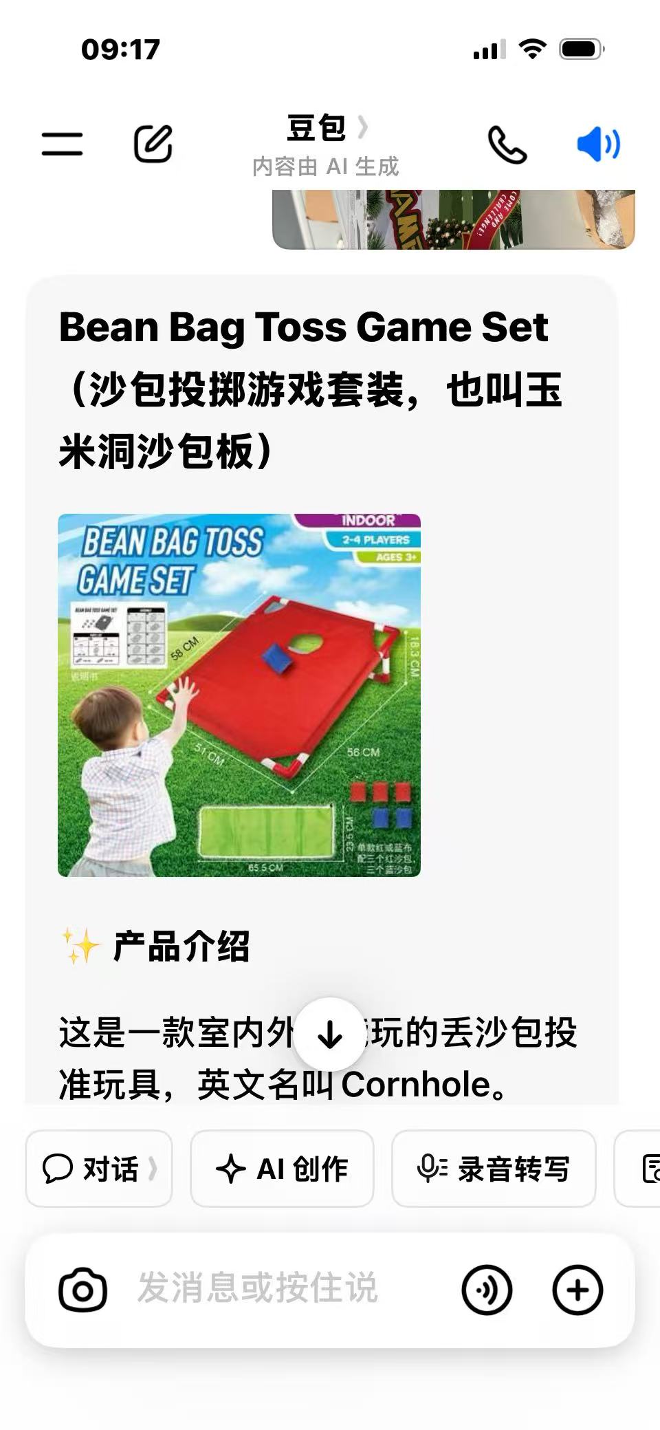 Bean Bag Toss Game Set